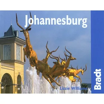 Bradt City Guide Johannesburg