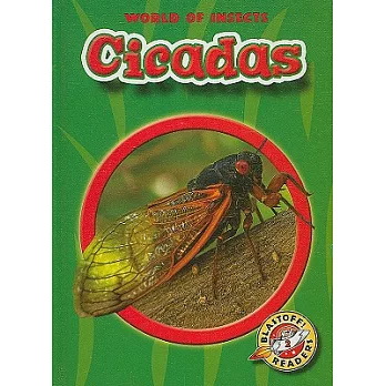 Cicadas /