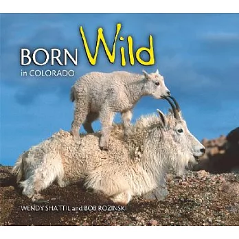 Born Wild in Colorado