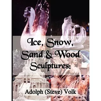 Ice, Snow, Sand & Wood Sculptures