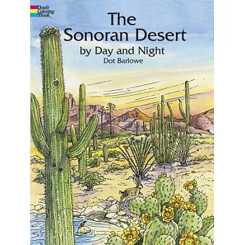 The Sonoran Desert by Day and Night