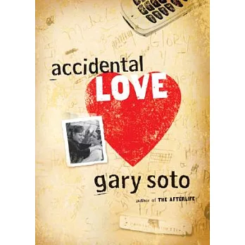 Accidental Love
