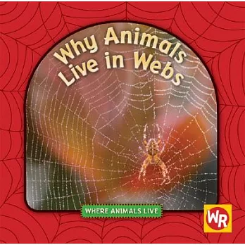 Why animals live in webs /