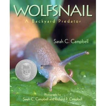 Wolfsnail : a backyard predator /