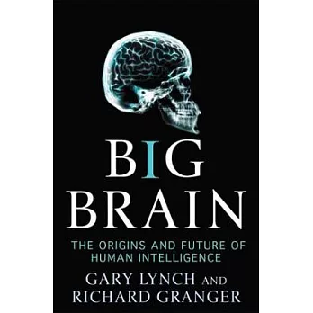 Big Brain: The Origins and Future of Human Intelligence