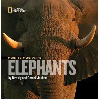 Face to Face With Elephants