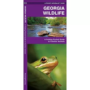 Georgia Wildlife: An Introduction to Familiar Species