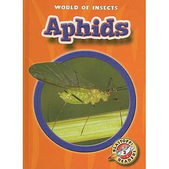 Aphids /