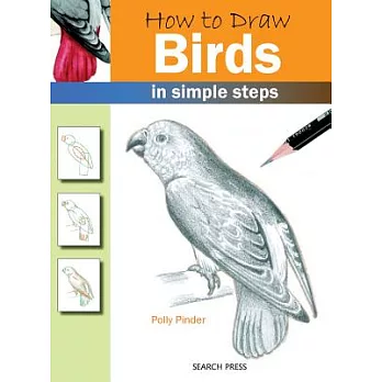 How to Draw Birds: In Simple Steps
