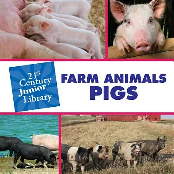 Farm animals. Pigs
