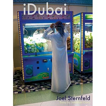 Joel Sternfeld: iDubai