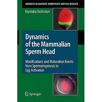 Dynamics of the Mammalian Sperm Head: Modifications and Maturation Events from Spermatogenesis to Egg Activation