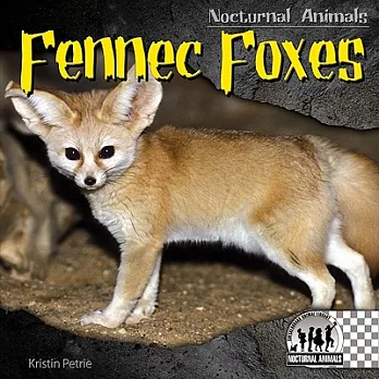 博客來-Fennec Foxes