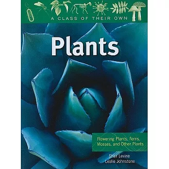 Plants: Flowering Plants, Ferns, Mosses, and Other Plants
