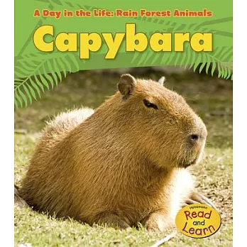 Capybara /