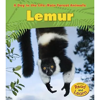 Lemur /