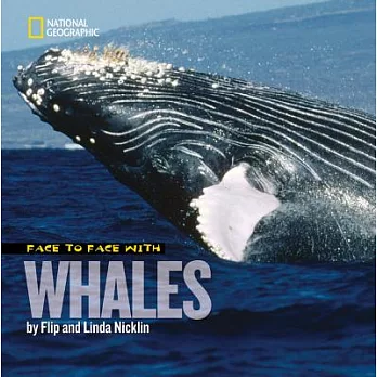 Face to face with whales /