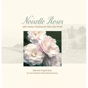Noisette Roses: 19th Century Charleston’s Gift to the World
