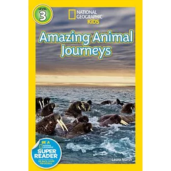 Amazing animal journeys