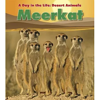 Meerkat /