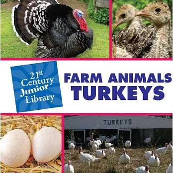 Farm animals. Turkeys /