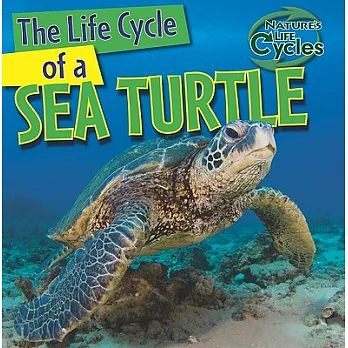 The life cycle of a sea turtle /