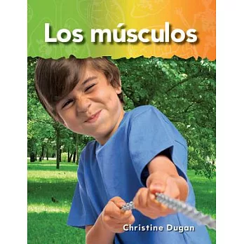 Los musculos / Muscles