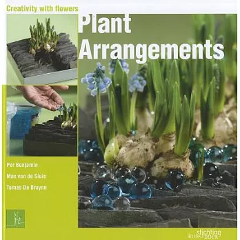 Plant Arrangements