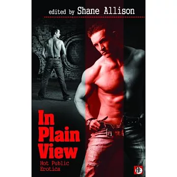 In Plain View: Hot Public Gay Erotica