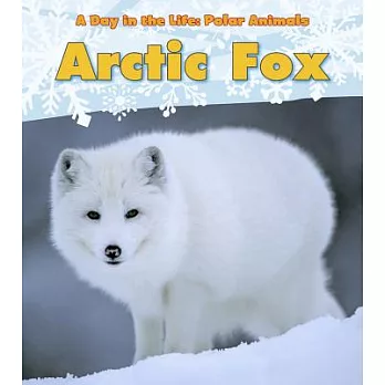 Arctic fox /