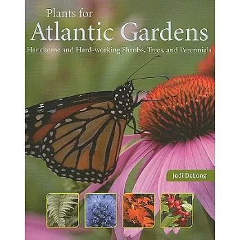 Plants for Atlantic Gardens: Handsome and Hard-working Shurbs, Trees, and Perennials