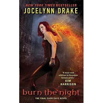 Burn the Night: The Final Dark Days Novel