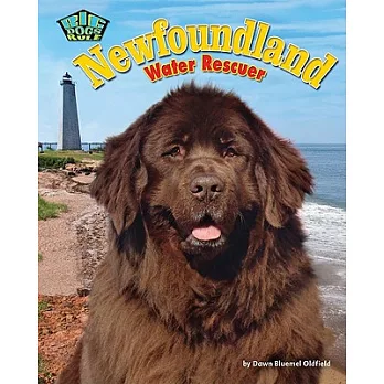 Newfoundland: Water Rescuer