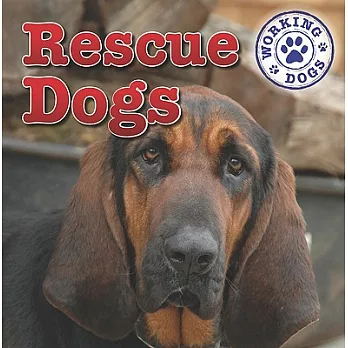 Rescue dogs /