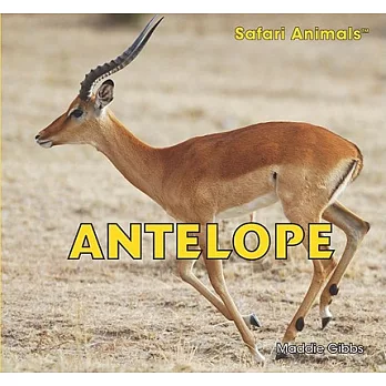 Antelope