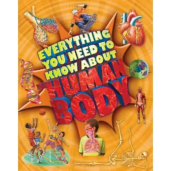 Everything You Need to Know About the Human Body