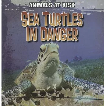 Sea Turtles in Danger