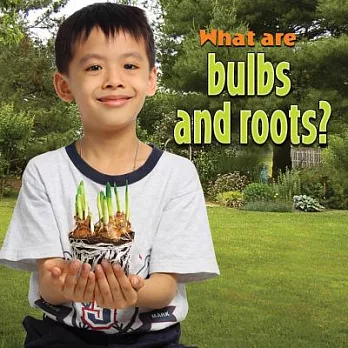 What are bulbs and roots? /