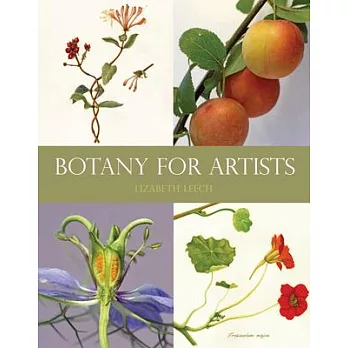 Botany for Artists