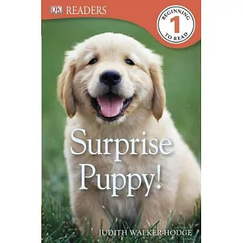 Surprise puppy!