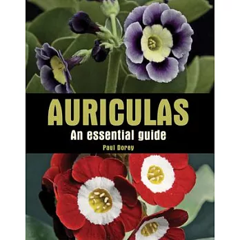 Auriculas: An Essential Guide