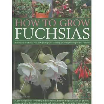 How to Grow Fuchsias