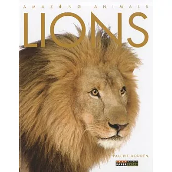 Lion /