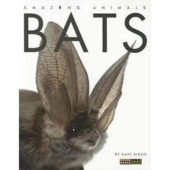 Bats /