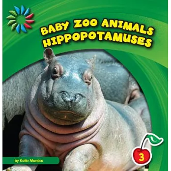 Hippopotamuses /