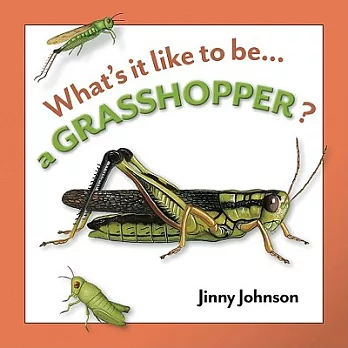 What’s it Like to be a Grasshopper?