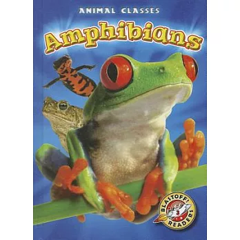 Amphibians /