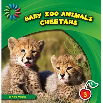 Cheetahs /