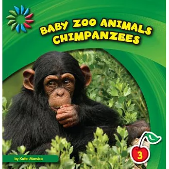 Chimpanzees /