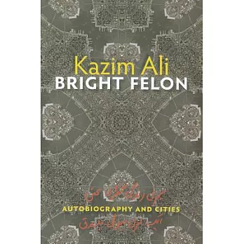 Bright Felon: Autobiography and Cities
